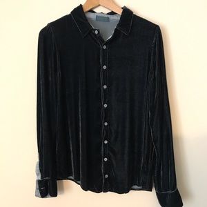 CP shades velvet top